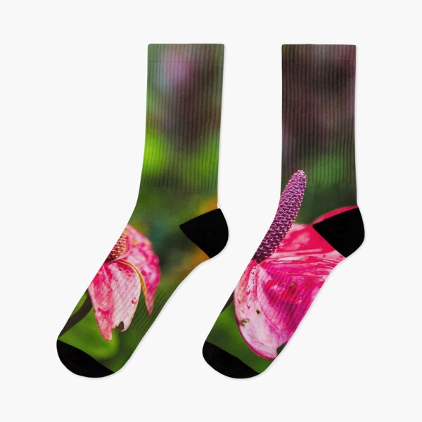 Item preview, Pink Anthurium Tropical Flower Garden Print designed and sold by AshleyMobleyArt.