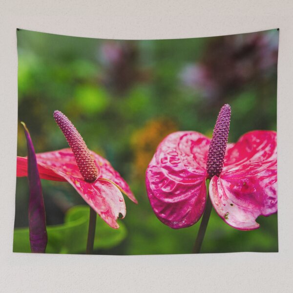 Item preview, Pink Anthurium Tropical Flower Garden Print designed and sold by AshleyMobleyArt.