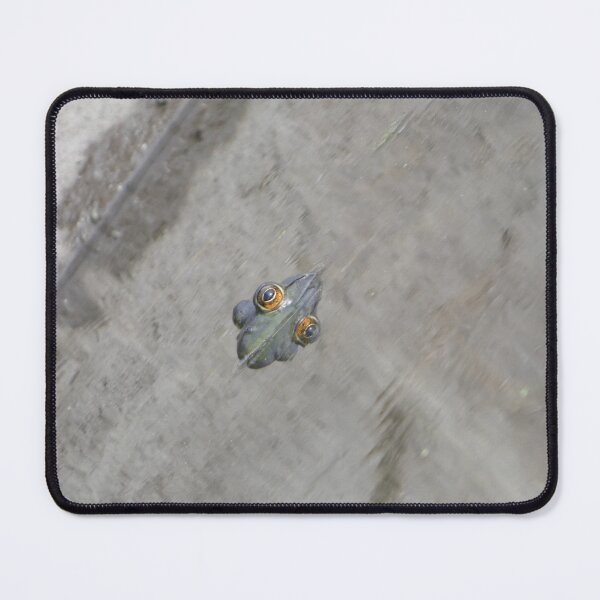 Item preview, Frog Eyes designed and sold by CymaticResonanceArt.