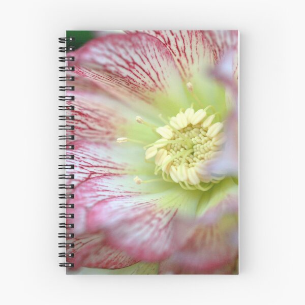 Item preview, Lenten rose designed and sold by elainefg.