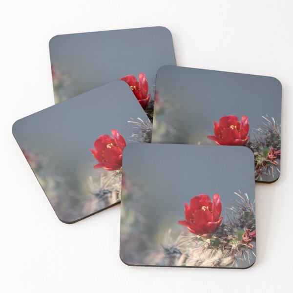 Item preview, Fotografía de la flor del cactus Cholla en plena floración en el desierto designed and sold by Tempraneo Photo.