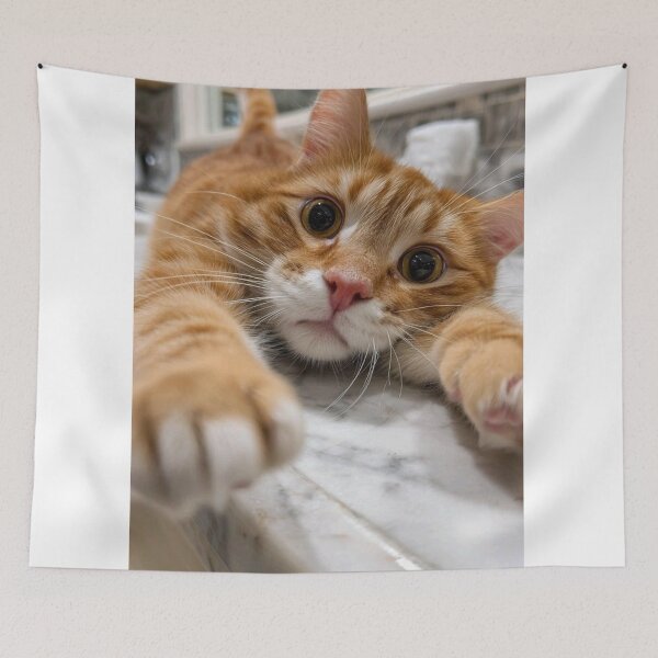 Item preview, Cute Ginger Cat Reaching Out – Playful Kitty Close-Up designed and sold by Jesus-istheway.
