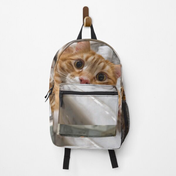 Item preview, Cute Ginger Cat Reaching Out – Playful Kitty Close-Up designed and sold by Jesus-istheway.
