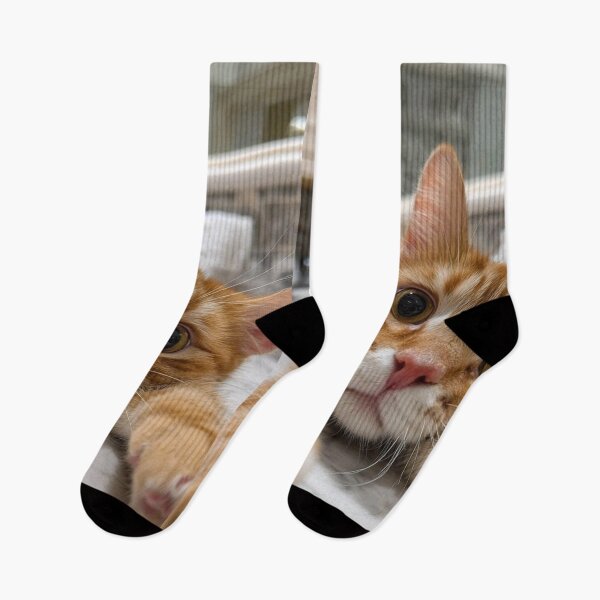 Item preview, Cute Ginger Cat Reaching Out – Playful Kitty Close-Up designed and sold by Jesus-istheway.