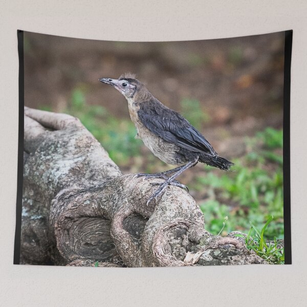 Item preview, Bob the Bird designed and sold by WrightDesignsUS.