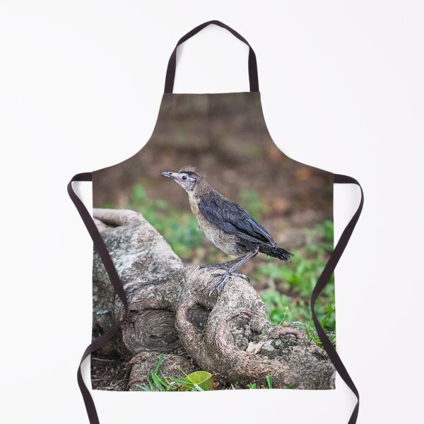 Item preview, Bob the Bird designed and sold by WrightDesignsUS.