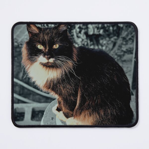 Item preview, Majestic Fluffy Cat on a Pedestal designed and sold by Stacey's unpromised.