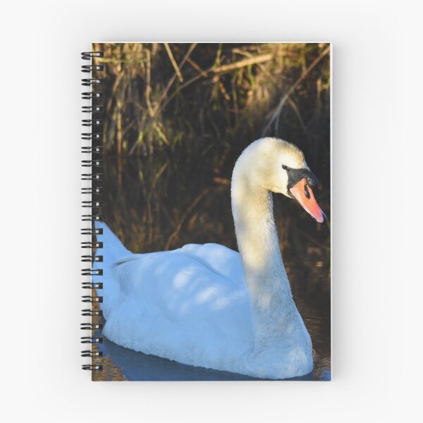 Item preview, Mute Swan Gliding on a Calm Autumn Lake designed and sold by Shanguai.