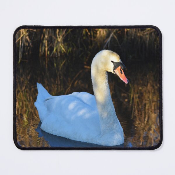 Item preview, Mute Swan Gliding on a Calm Autumn Lake designed and sold by Shanguai.