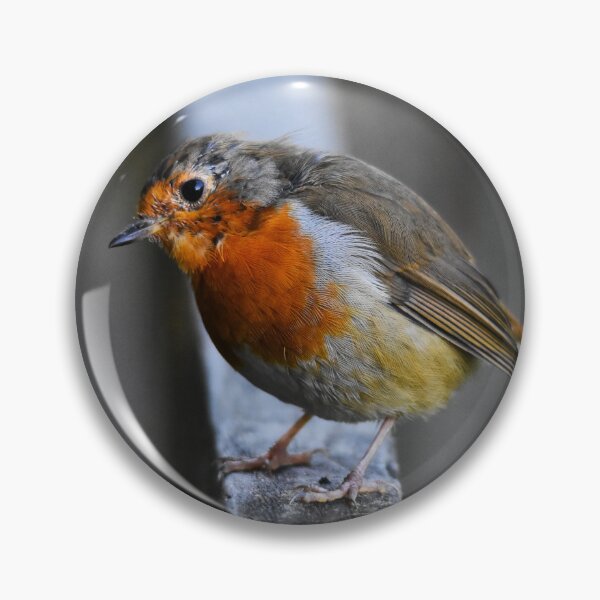 Item preview, European Robin Standing Alert on a Wooden Post designed and sold by Shanguai.