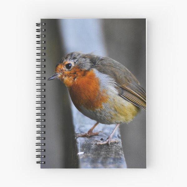 Item preview, European Robin Standing Alert on a Wooden Post designed and sold by Shanguai.