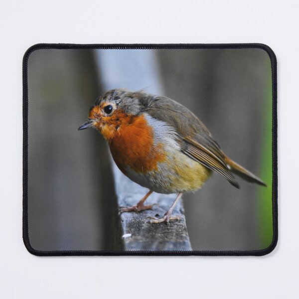 Item preview, European Robin Standing Alert on a Wooden Post designed and sold by Shanguai.