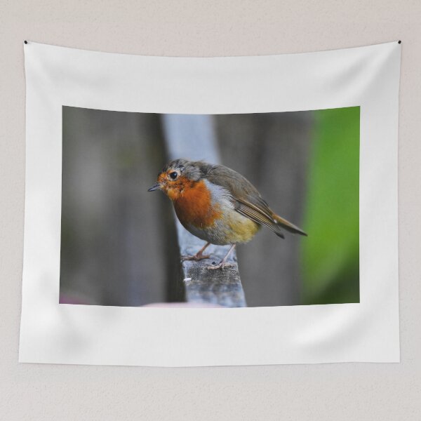 Item preview, European Robin Standing Alert on a Wooden Post designed and sold by Shanguai.