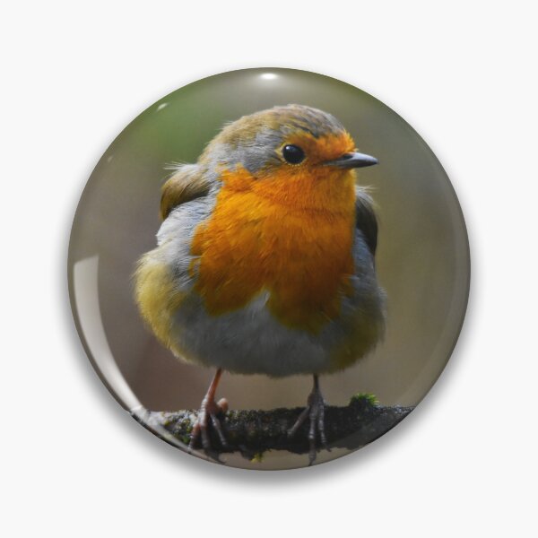 Item preview, European Robin Perched on a Winter Branch designed and sold by Shanguai.