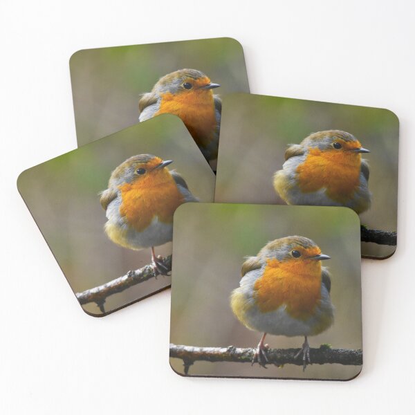 Item preview, European Robin Perched on a Winter Branch designed and sold by Shanguai.