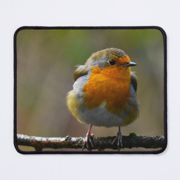 Item preview, European Robin Perched on a Winter Branch designed and sold by Shanguai.