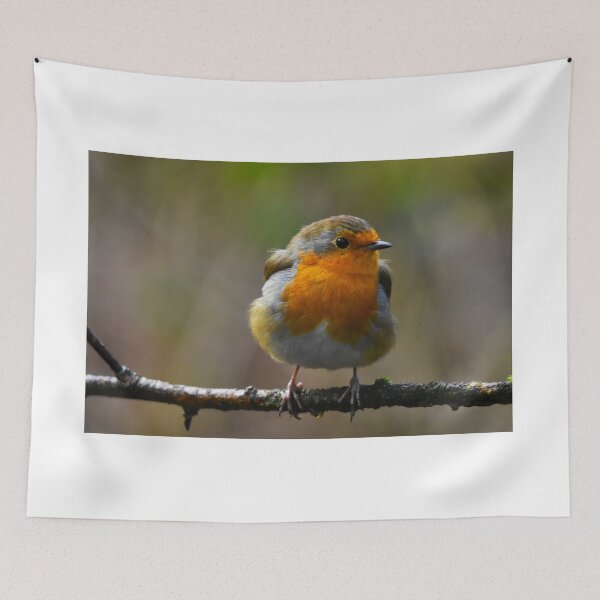 Item preview, European Robin Perched on a Winter Branch designed and sold by Shanguai.