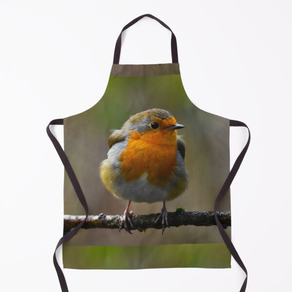 Item preview, European Robin Perched on a Winter Branch designed and sold by Shanguai.