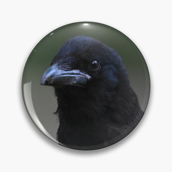 Item preview, Carrion Crow Portrait Against Soft Green Background designed and sold by Shanguai.