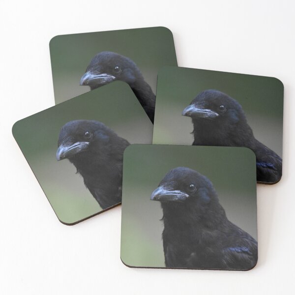 Item preview, Carrion Crow Portrait Against Soft Green Background designed and sold by Shanguai.