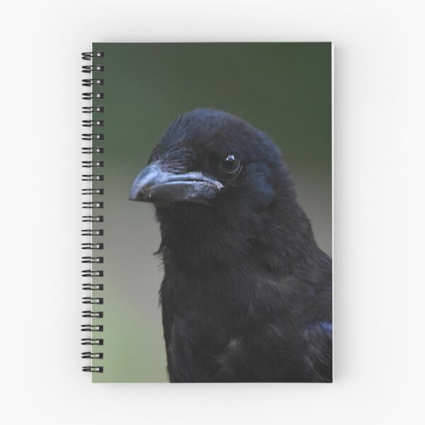 Item preview, Carrion Crow Portrait Against Soft Green Background designed and sold by Shanguai.