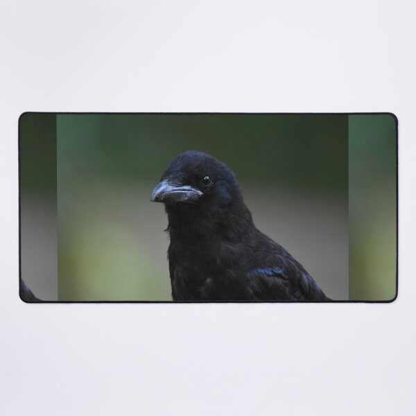 Item preview, Carrion Crow Portrait Against Soft Green Background designed and sold by Shanguai.