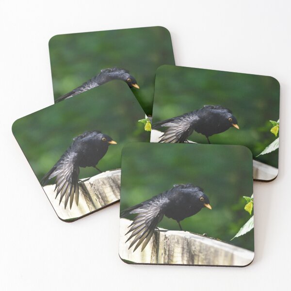 Item preview, Male Blackbird Ruffling Feathers on a Garden Fence designed and sold by Shanguai.