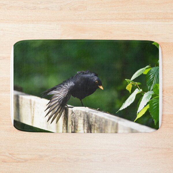 Item preview, Male Blackbird Ruffling Feathers on a Garden Fence designed and sold by Shanguai.