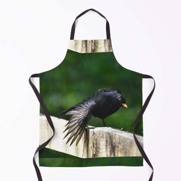 Item preview, Male Blackbird Ruffling Feathers on a Garden Fence designed and sold by Shanguai.
