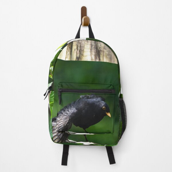 Item preview, Male Blackbird Ruffling Feathers on a Garden Fence designed and sold by Shanguai.