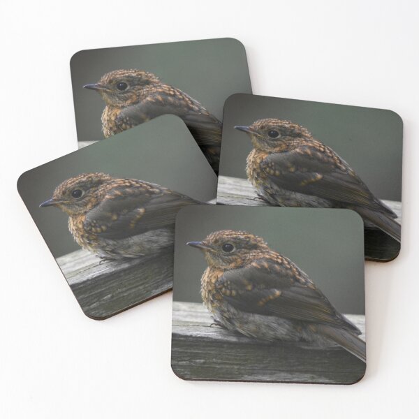 Item preview, Juvenile Robin Perched on a Wooden Ledge designed and sold by Shanguai.