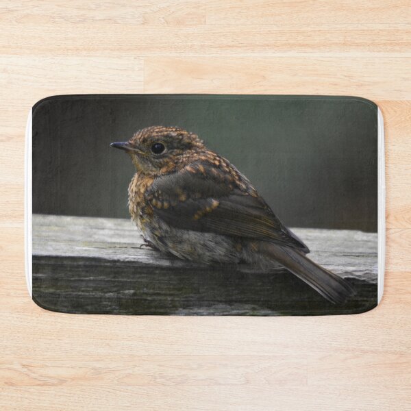 Item preview, Juvenile Robin Perched on a Wooden Ledge designed and sold by Shanguai.