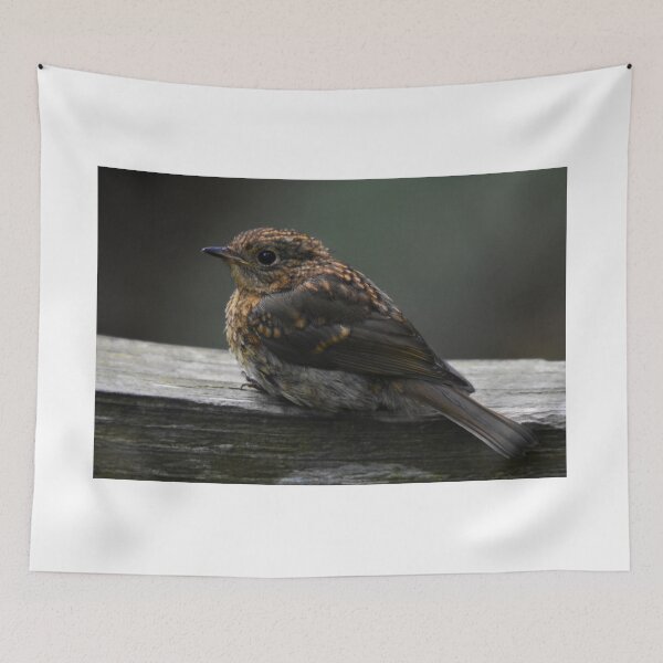 Item preview, Juvenile Robin Perched on a Wooden Ledge designed and sold by Shanguai.