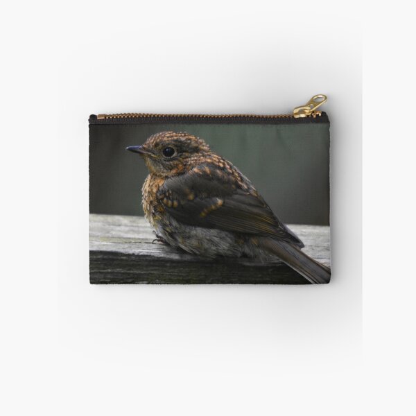 Item preview, Juvenile Robin Perched on a Wooden Ledge designed and sold by Shanguai.