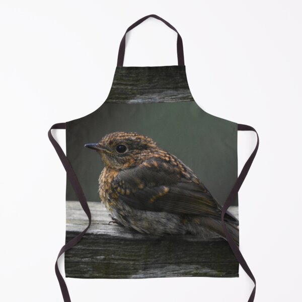 Item preview, Juvenile Robin Perched on a Wooden Ledge designed and sold by Shanguai.