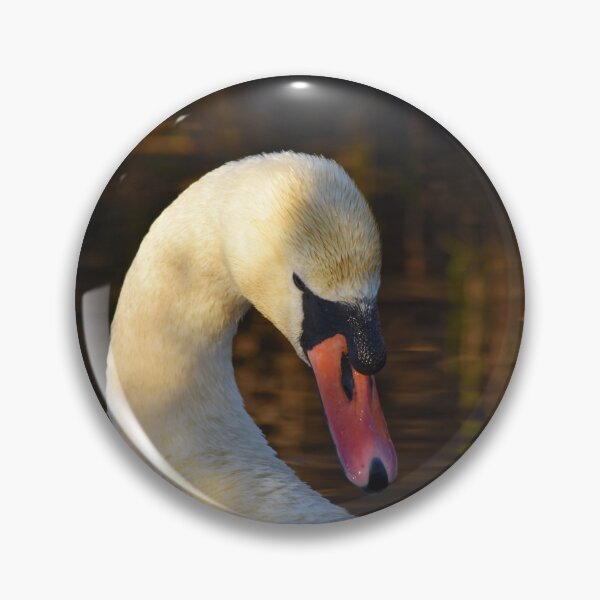 Item preview, Mute Swan Portrait in Golden Evening Light designed and sold by Shanguai.