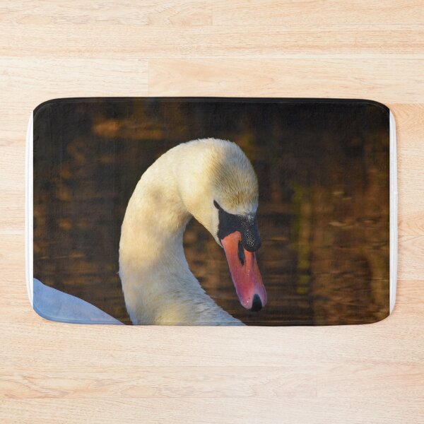 Item preview, Mute Swan Portrait in Golden Evening Light designed and sold by Shanguai.