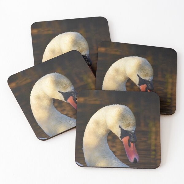 Item preview, Mute Swan Portrait in Golden Evening Light designed and sold by Shanguai.