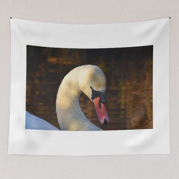 Item preview, Mute Swan Portrait in Golden Evening Light designed and sold by Shanguai.