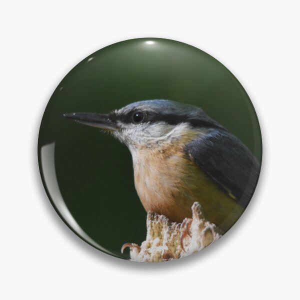 Item preview, Eurasian Nuthatch Perched on a Mossy Branch designed and sold by Shanguai.