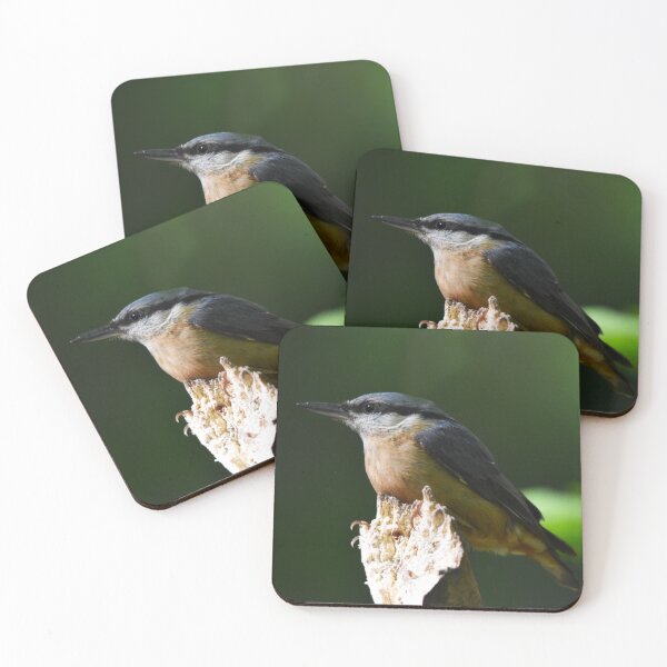 Item preview, Eurasian Nuthatch Perched on a Mossy Branch designed and sold by Shanguai.