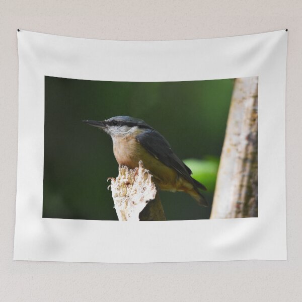 Item preview, Eurasian Nuthatch Perched on a Mossy Branch designed and sold by Shanguai.