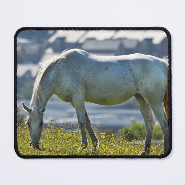 Item preview, White Horse Grazing Buttercup Field Wales UK designed and sold by Shanguai.