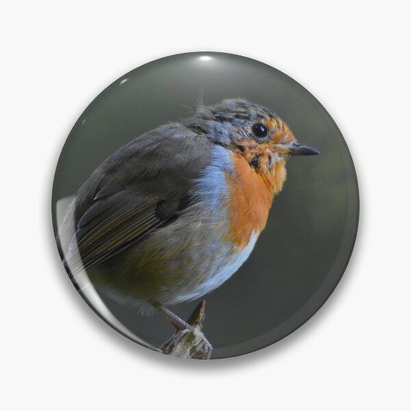 Item preview, Robin Redbreast Perched on Stick Wales UK designed and sold by Shanguai.