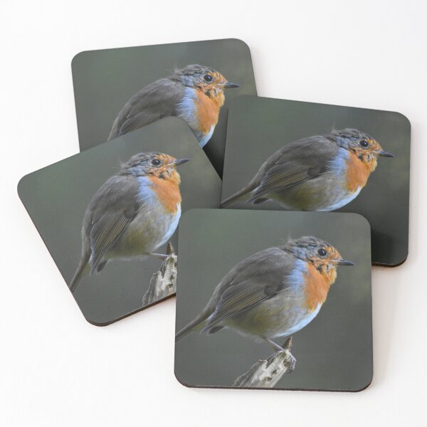 Item preview, Robin Redbreast Perched on Stick Wales UK designed and sold by Shanguai.