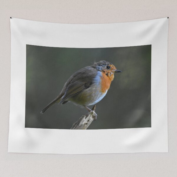 Item preview, Robin Redbreast Perched on Stick Wales UK designed and sold by Shanguai.