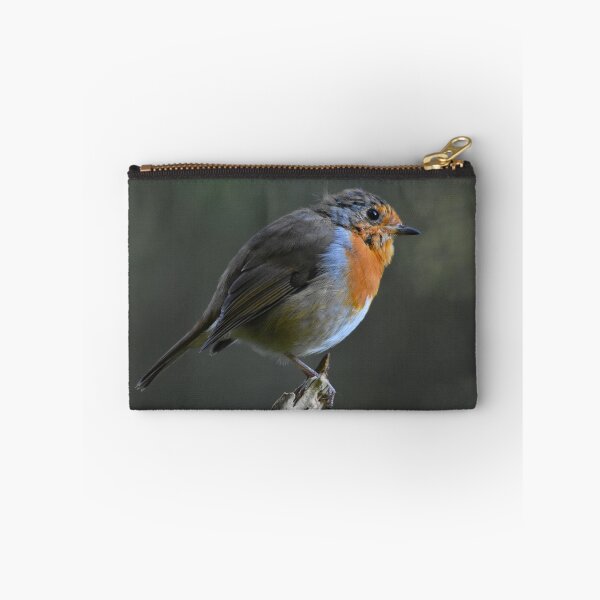 Item preview, Robin Redbreast Perched on Stick Wales UK designed and sold by Shanguai.
