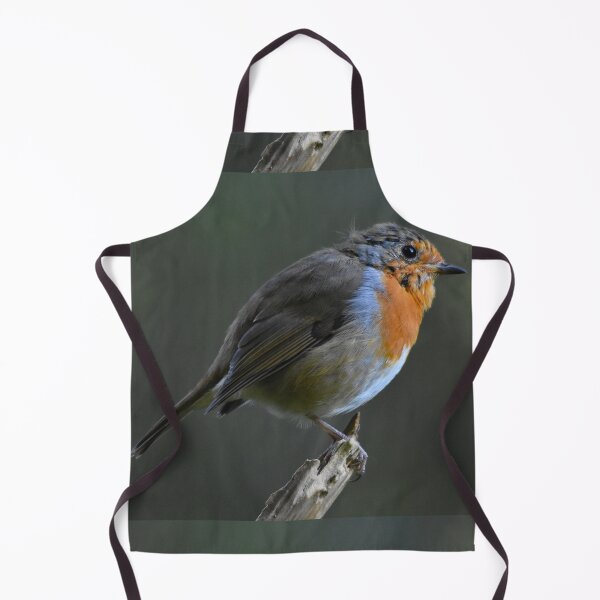 Item preview, Robin Redbreast Perched on Stick Wales UK designed and sold by Shanguai.