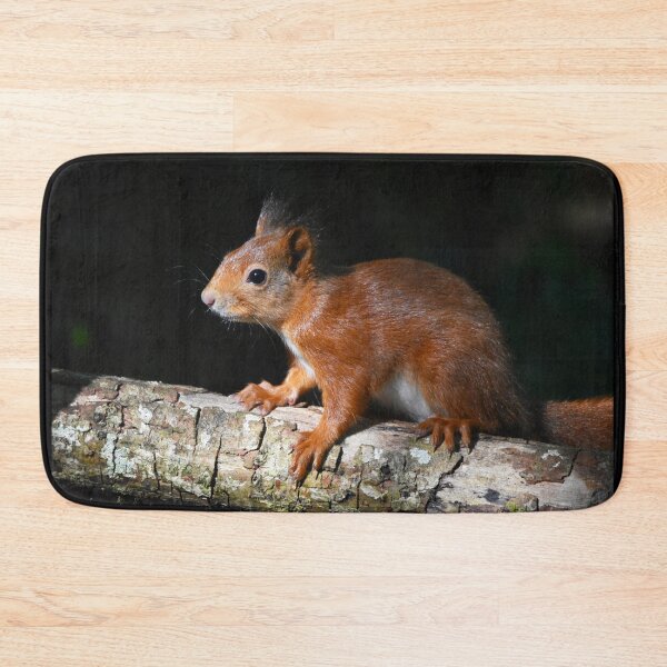 Item preview, Baby Red Squirrel on Log Dark Background Wales designed and sold by Shanguai.