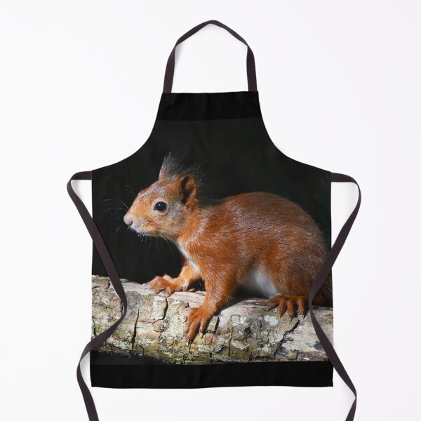 Item preview, Baby Red Squirrel on Log Dark Background Wales designed and sold by Shanguai.